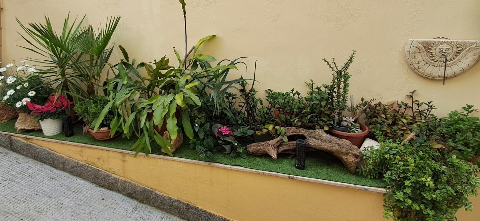 La Dimora Segreta Villa Bitetto Buitenkant foto